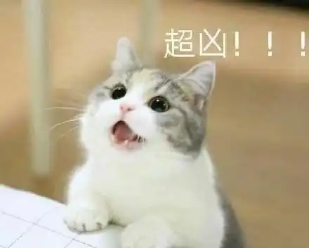  猫咪要钱套路表情包合集