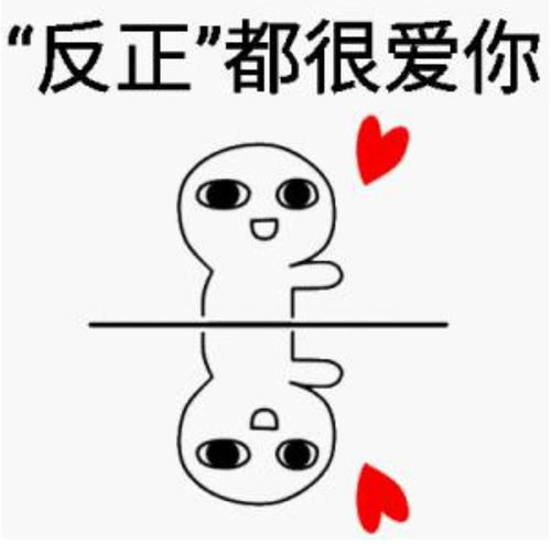  致年会完美落幕丨是镜姑娘写给你的家书呀
