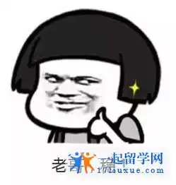  澳洲大学专业脱发指数排行榜看看你排第几