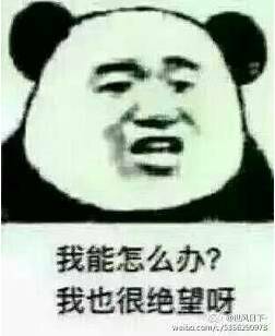 傻人有傻福没有表情包
