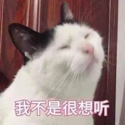  沙雕表情包臭宝儿,你到底在哪