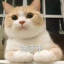 小鹿乱撞表情包表情包