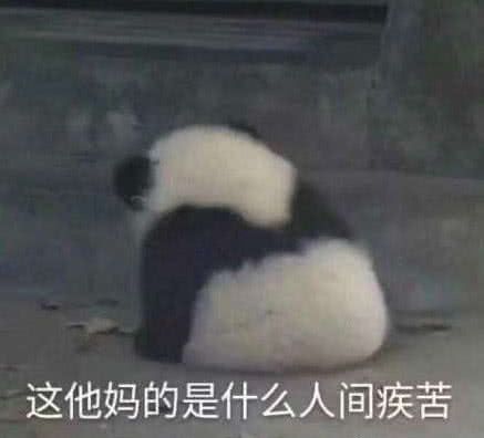  表情包和女朋友聊天表情包的正确打开方式