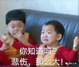  上海这家知名商场的网红餐厅又被曝光这频率也太高了吧