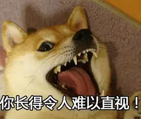  可怕,神烦狗doge又重出江湖了