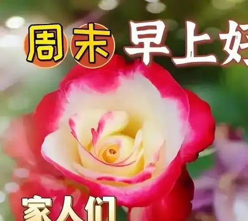  11月18日星期六漂亮早上好问候动态表情图片最新版