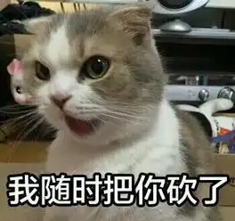 谢谢表情包可爱萌图猫咪