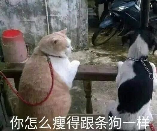  是猛男,当然要用这个一组猛男必备表情包送给大家