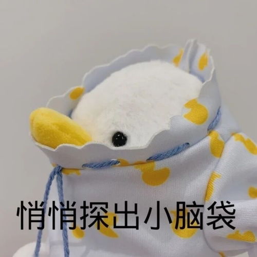  专辑内涵团魂舞台亮点不是很难回答...