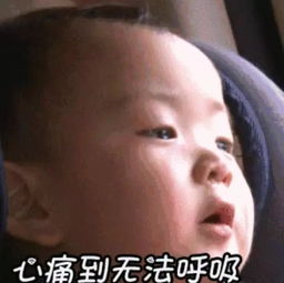  沈梦辰被骗钱,汤唯李沁李若彤李小璐也中过招,真是防不胜防啊
