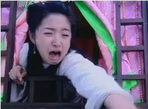 赵丽颖丑照表情包表情