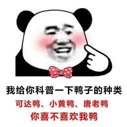  熊猫头土味情话表情包我给你科普一下辣的级别
