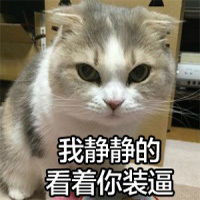  喵星人可表情包我静静的看着你装逼