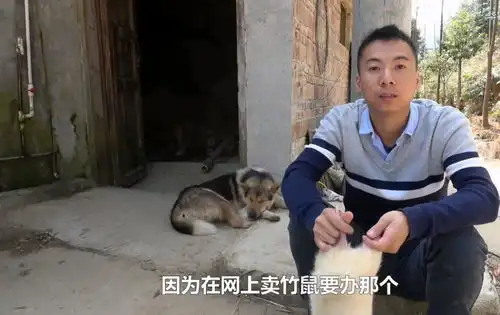 华农兄弟的竹鼠到底有没有问题