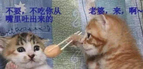 吃了吗图片隐藏屎字恶搞