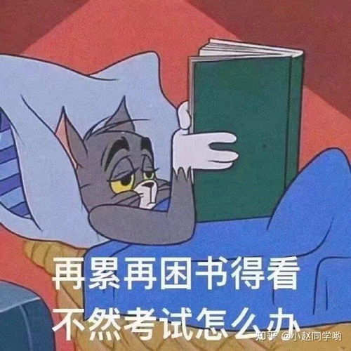  期末考试复习专用表情包都在这里了,哈哈哈哈哈哈哈哈哈笑死我了