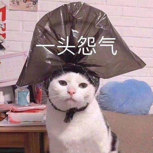  一尊欢喜佛