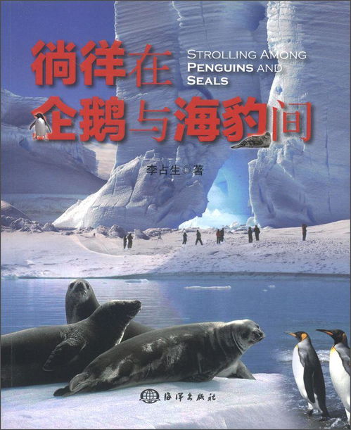  徜徉在企鹅与海豹间