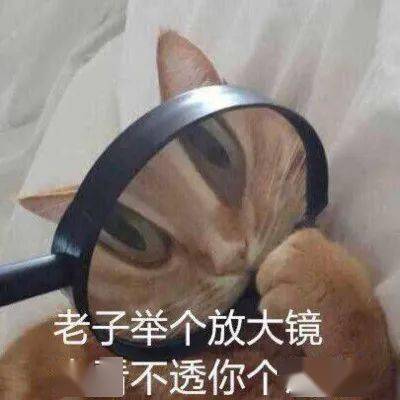  看过apple2021年秋季发布会的人,都哭了...