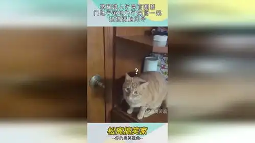  橘猫跌入铲屎官圈套,门把手落地吓铲屎官一跳,猫猫满脸问号