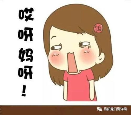  啥情况美人鱼和海盗在水下打起来啦