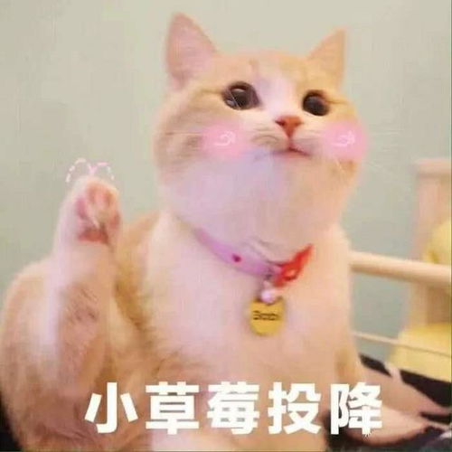  清晰版历史时间轴来了,中外历史大事件一目了然高三党必备资料