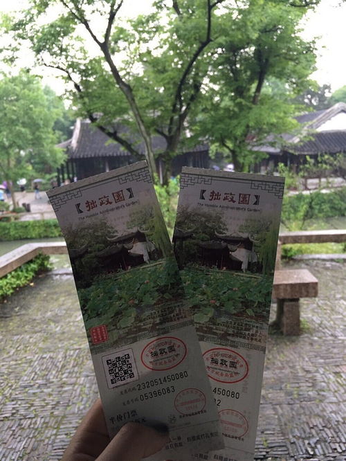  乖摸摸头