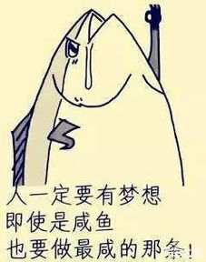  mpv动力太弱还不如一条咸鱼