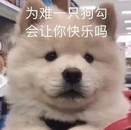 适合发给小姐妹的表情包