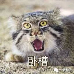  要想生活过的去,手上总要戴点绿