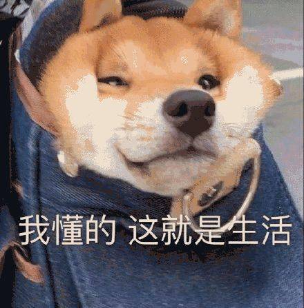  雨雨雨又来了还有强对流