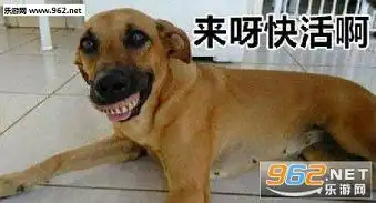  狗假牙表情包下载乐游网游戏下载