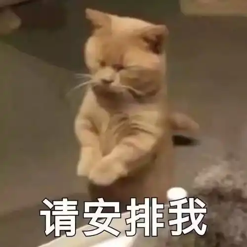  假期南审青年图鉴