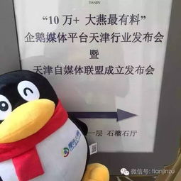  企鹅日记天津网红都来齐了,好大阵仗