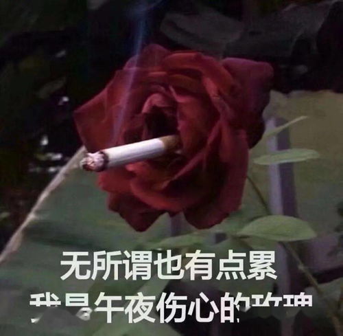  发福发面发腮,帅哥们的花期为何如此短暂