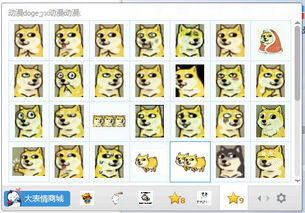 呸的动态表情包doge