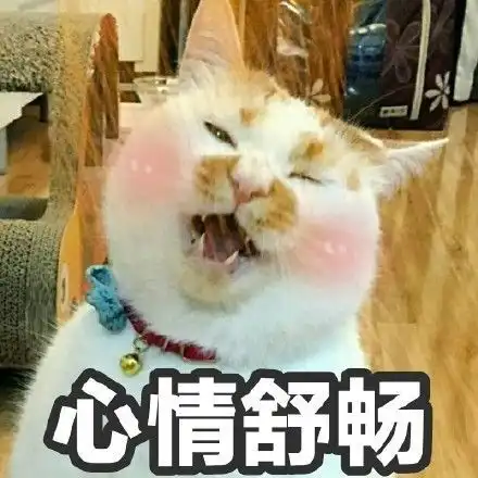 打滚表情包猫猫我不管