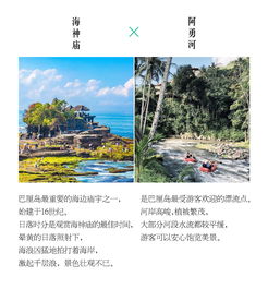  巴厘岛爆红景点乌布丛林大秋千独特鸟巢森林瀑布圣泉庙洗礼阿勇河激情漂流女王皇家招牌spa享受阿丽拉艾吉海景酒店下午茶时光一日游专车往返酒店接送
