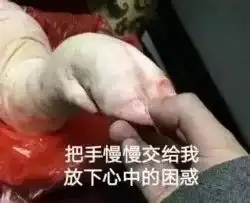  藏香猪卡c位的另类奋斗史
