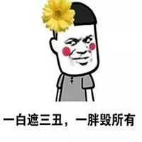  别理我胖着呢头像微信头像图片大全