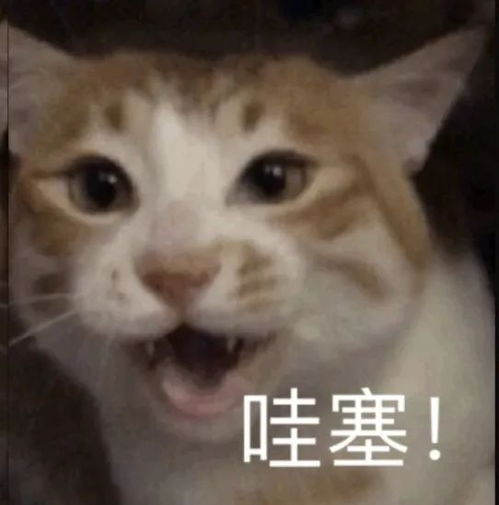  潮汕牛肉丸上冬奥会餐桌广东制造有多猛