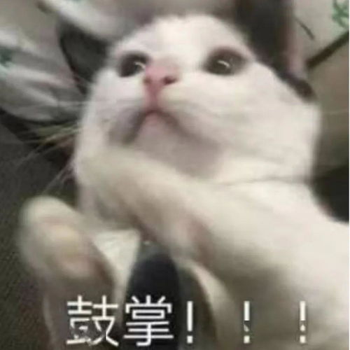  关于我为家乡茶代言投票活动
