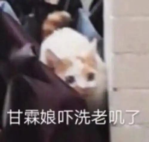  开心一刻适合发朋友圈的搞笑句子,一看就很沙雕
