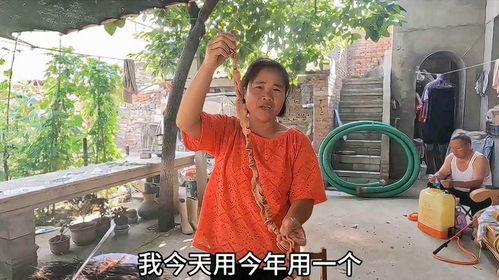  儿媳买30块钱肥肠用来包粽子,婆婆一脸质疑,结果一尝出乎意料