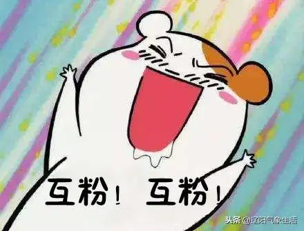  今日头条新人为何要快速涨粉涨粉的好处呼唤东北粉