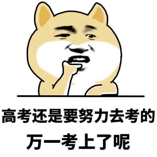 手气王继续表情包表情包