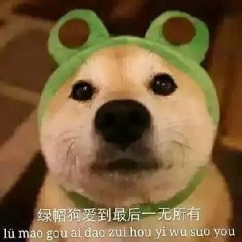  这绿帽套餐,可能就是史上最全的绿帽子表情包了