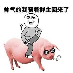  恶搞群主搞笑表情包大全