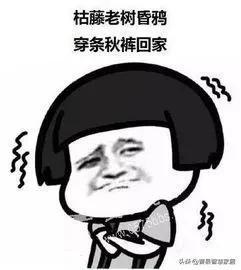  没钱买秋裤表情包