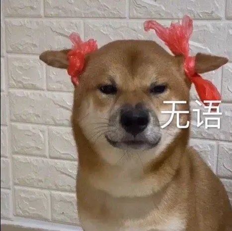  表情包秀啊,继续秀啊